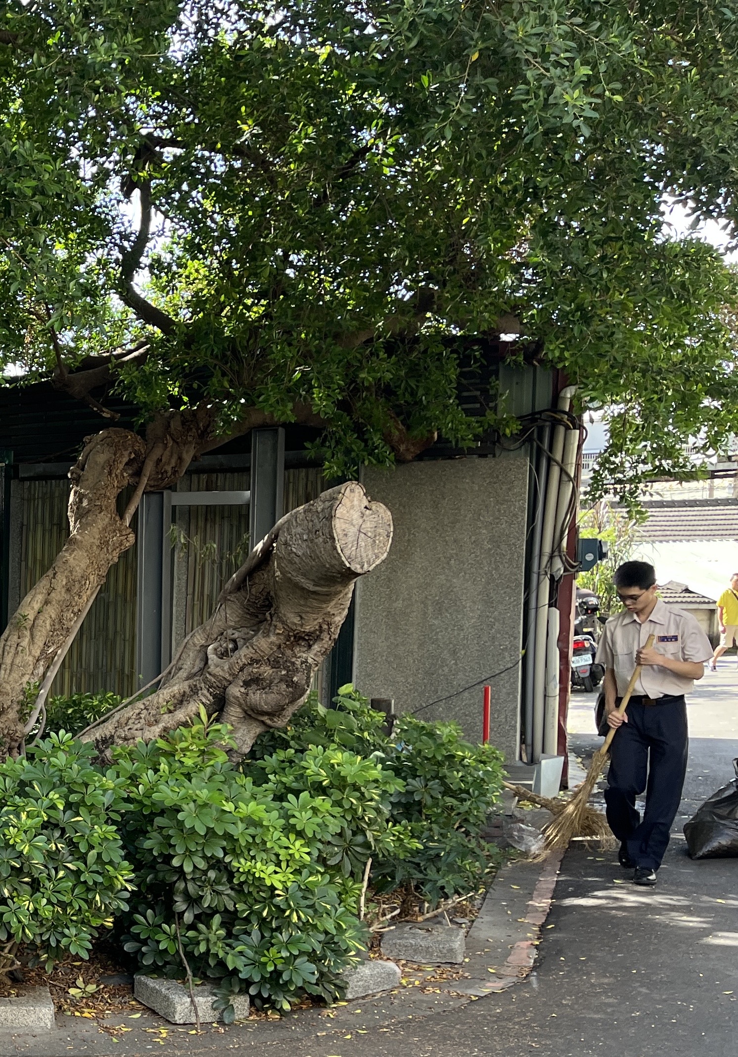 活動圖片