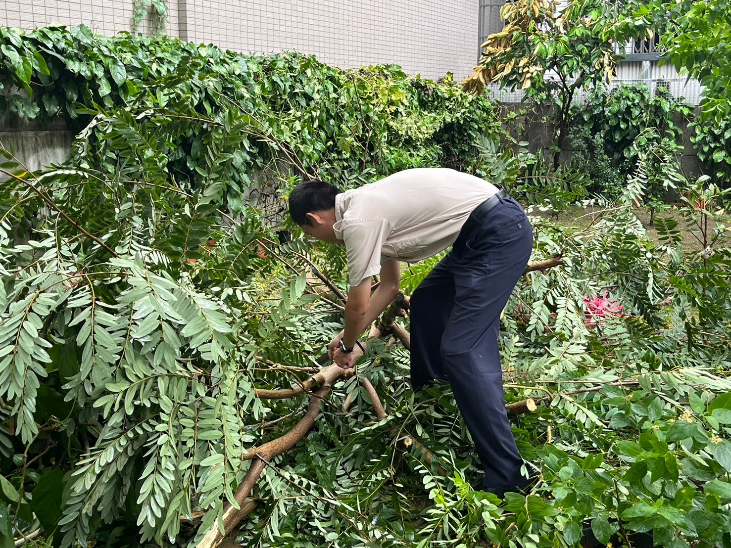 活動圖片