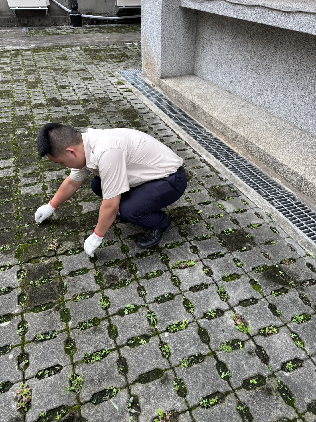 活動圖片