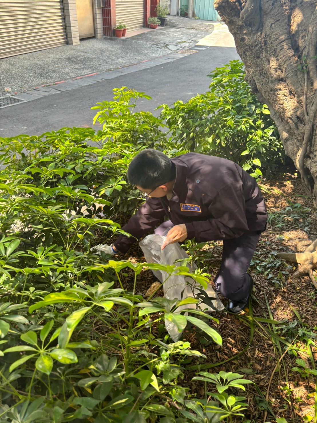 活動圖片