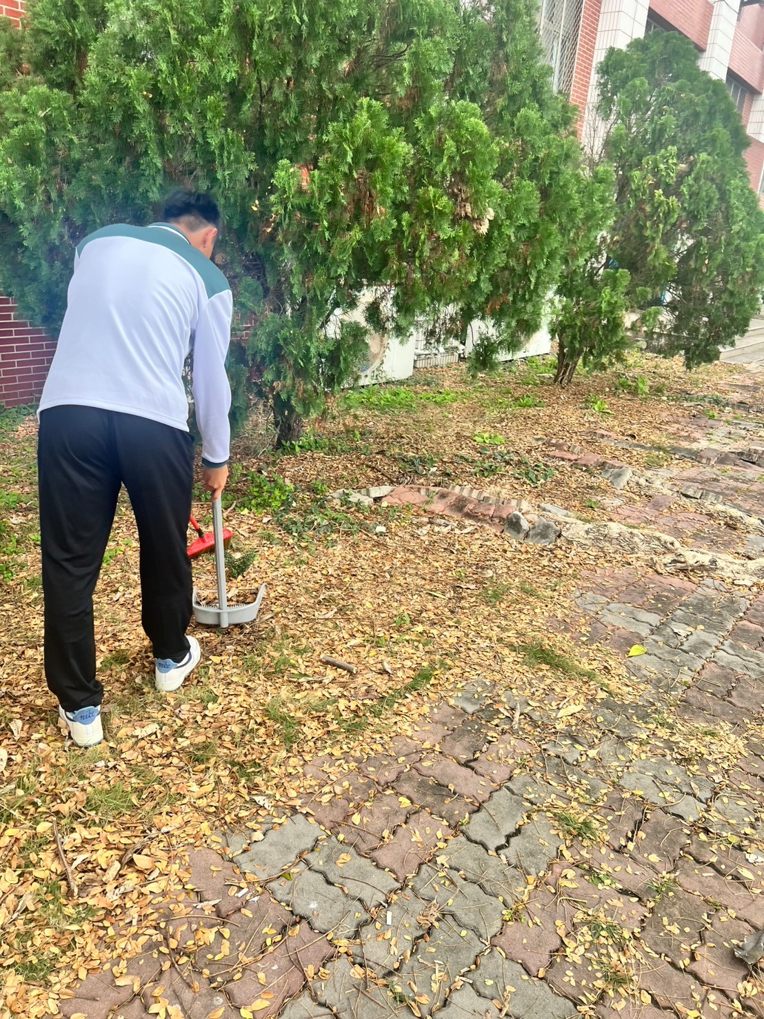 活動圖片