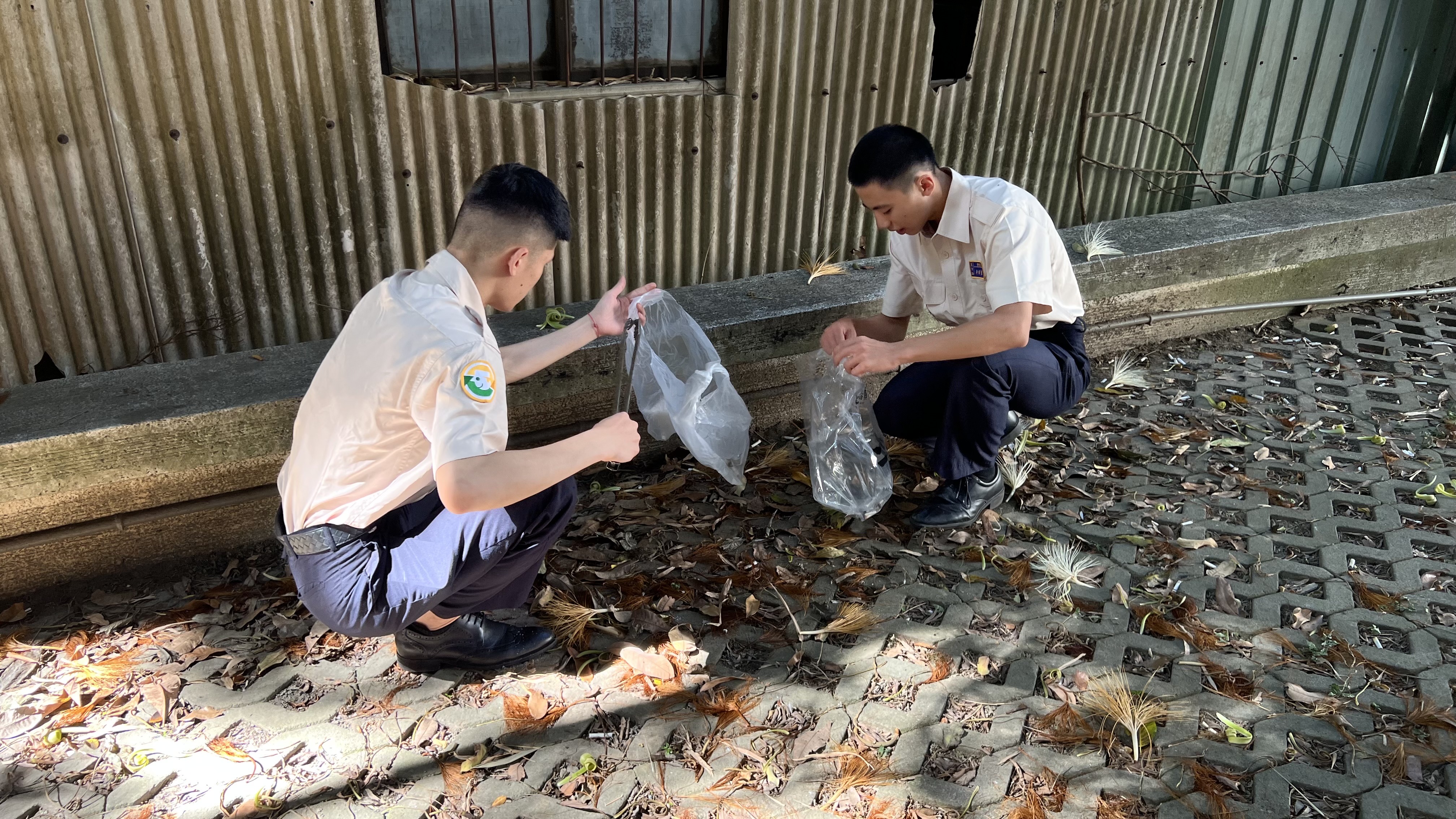 活動圖片