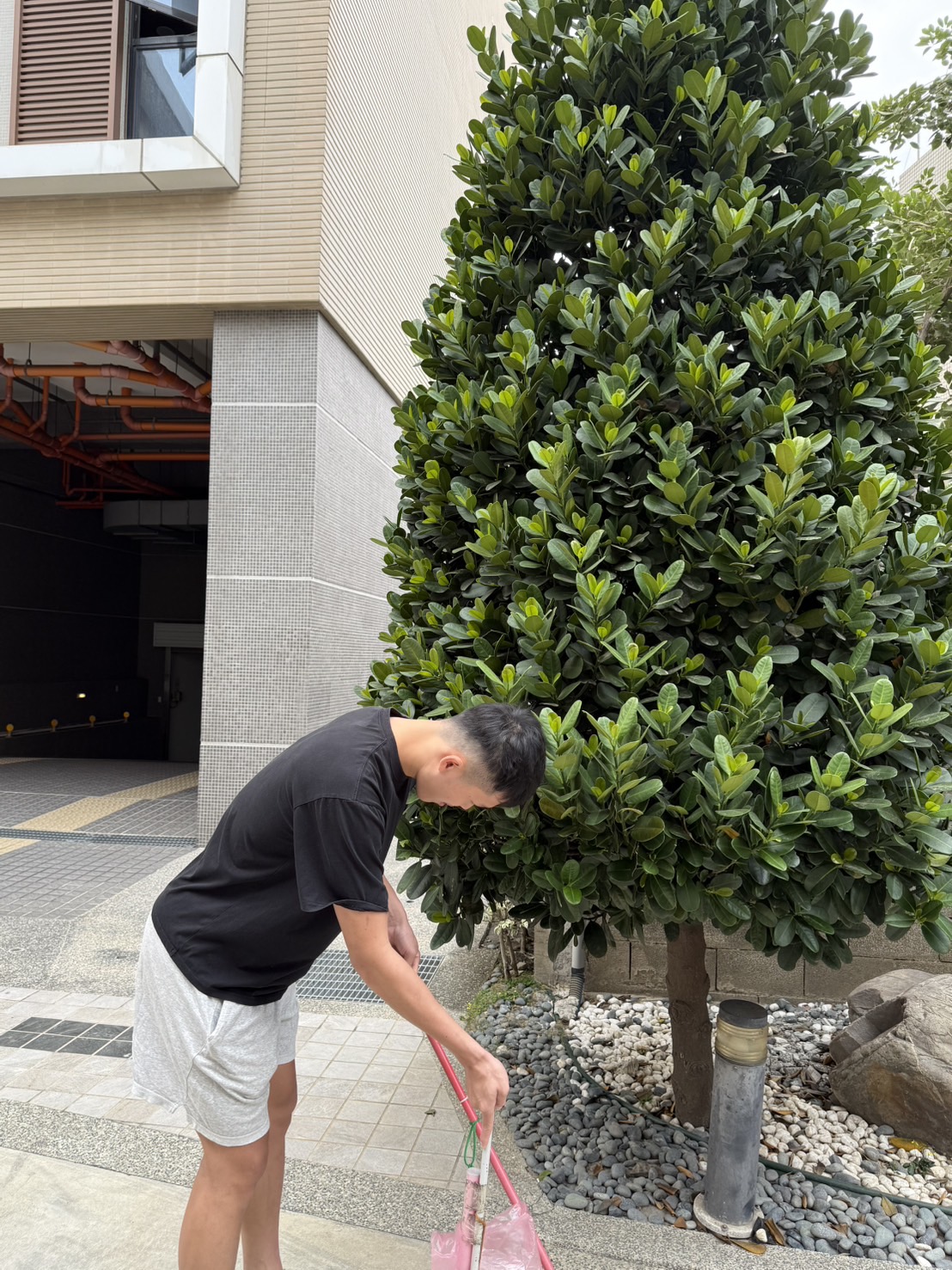 活動圖片