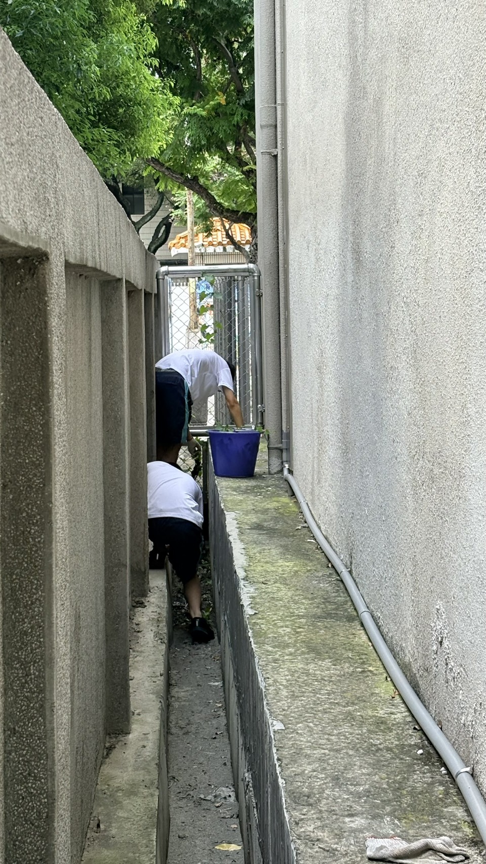 活動圖片