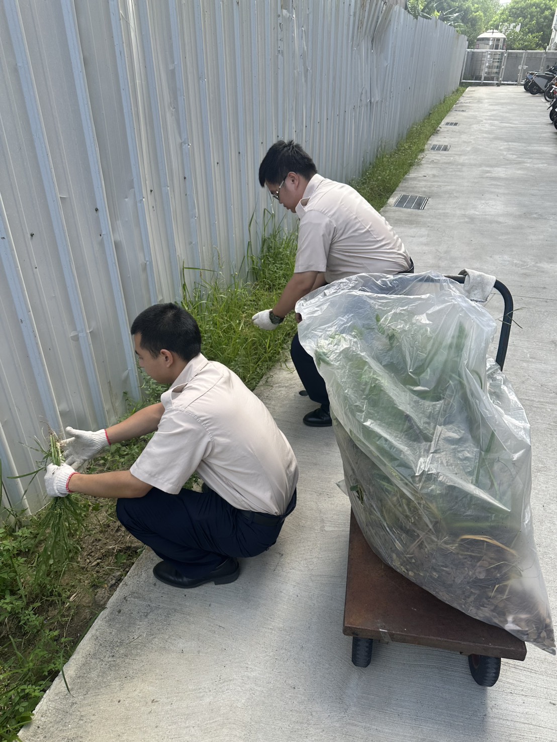 活動圖片
