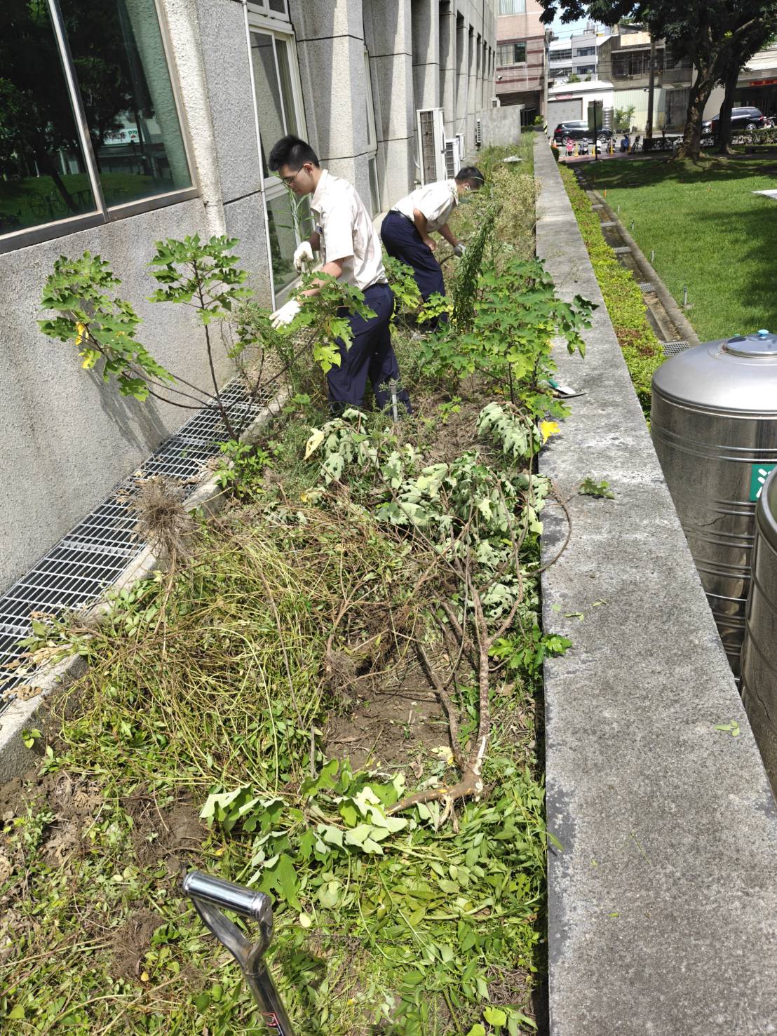 活動圖片