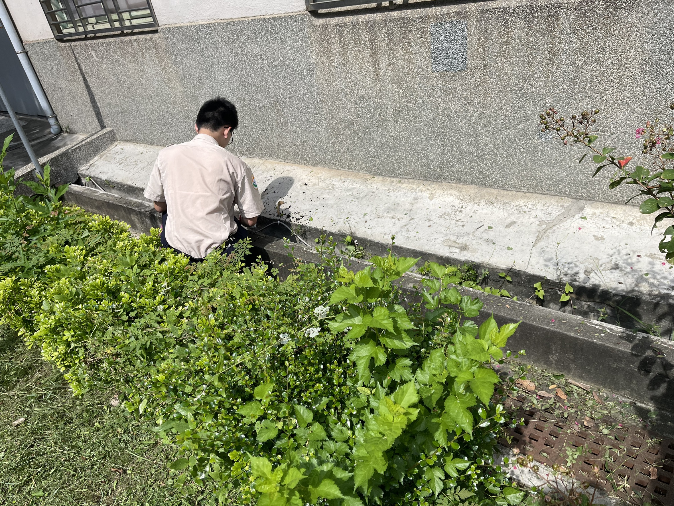 活動圖片